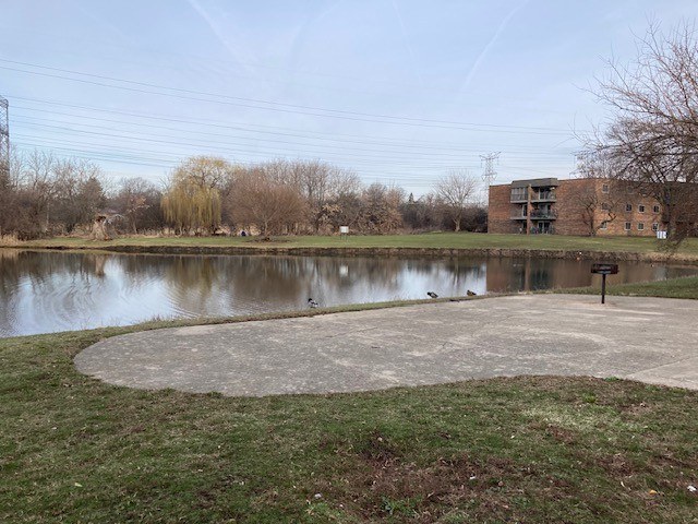 A pond in a park with a building in the background.